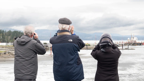 Bird watchers looking out at ocean