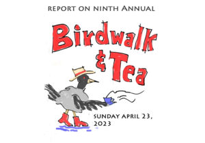 FOSH Ninth Annual Birdwalk and Tea Poster